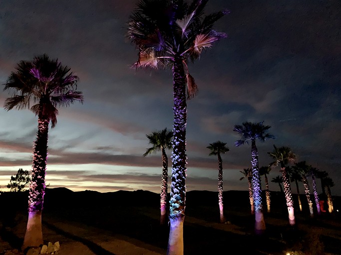 Yurts (United States of America, Joshua Tree, California)