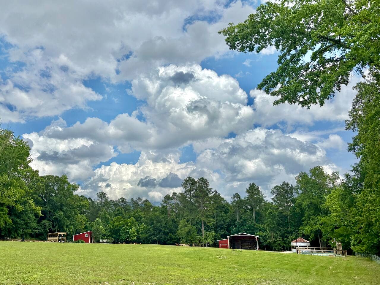 Cozy Glamping Tent with Farm Experience Near Kerr Lake, North Carolina