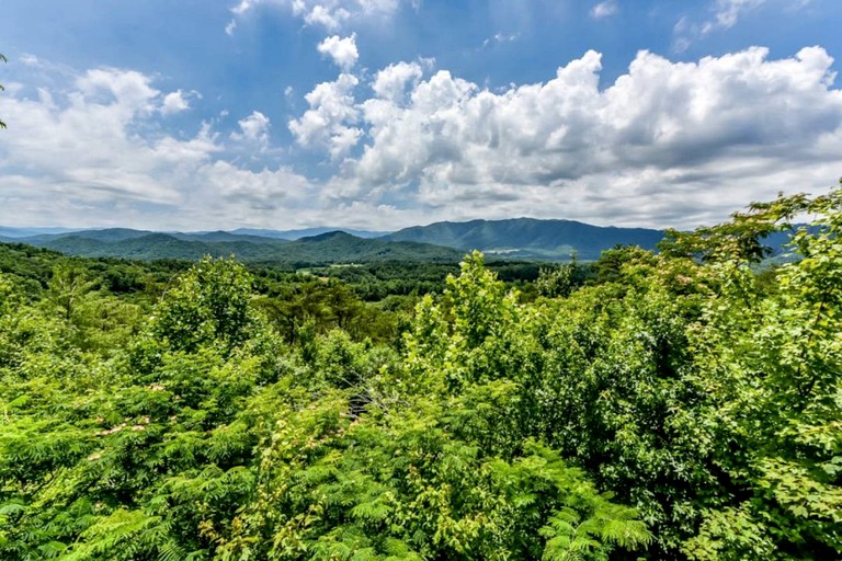 Cabins (United States of America, Townsend, Tennessee)