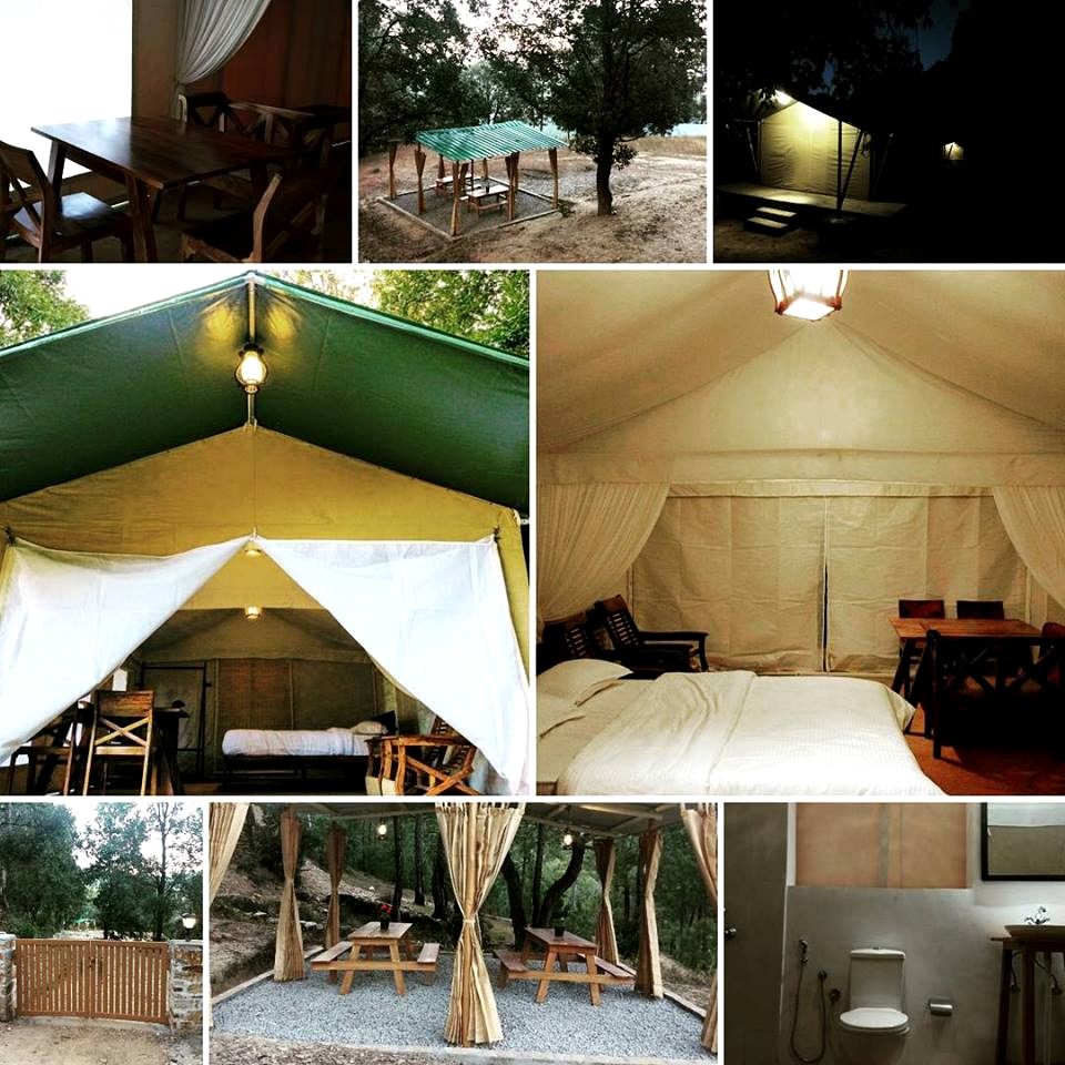 Magical Safari Tent Rentals with Views of Snow-Capped Himalayas in Uttarakhand, Northern India