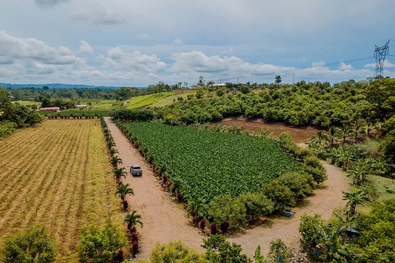 Villas (Costa Rica, San Ramon, Alajuela)