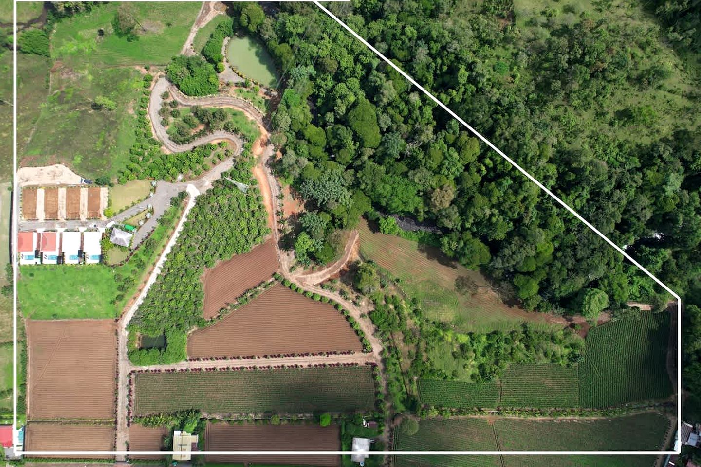 Secluded Luxury Villa with Private Pool & Volcano Views near La Fortuna, Costa Rica