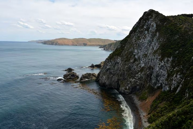 Oceanside Vacation Rental in the Native Forest near Southland, South Island | Nature Lodges (Papatowai, South Island, New Zealand)