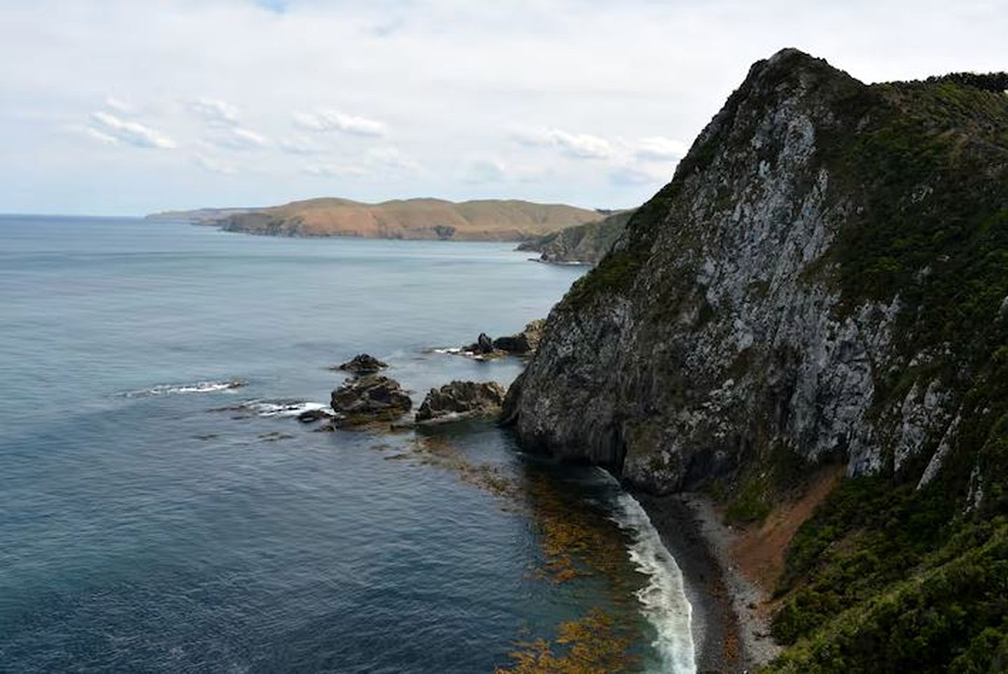 Oceanside Vacation Rental in the Native Forest near Southland, South Island | Nature Lodges (Papatowai, South Island, New Zealand)