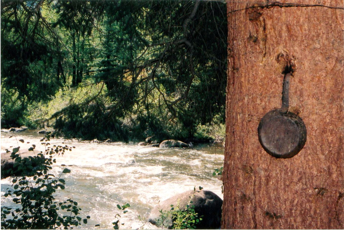 Pet-Friendly Cabin Getaway for Groups near Aspen, Colorado