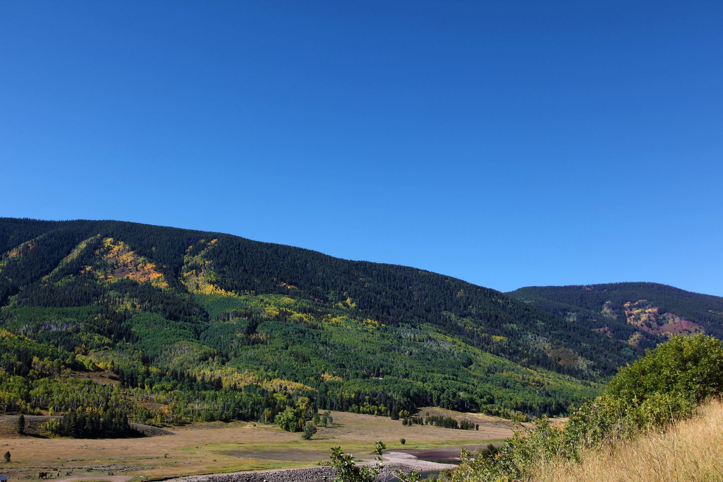 Pet-Friendly Cabin Getaway for Groups near Aspen, Colorado