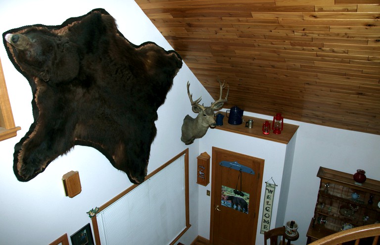 Cabins (Meredith, Colorado, United States)