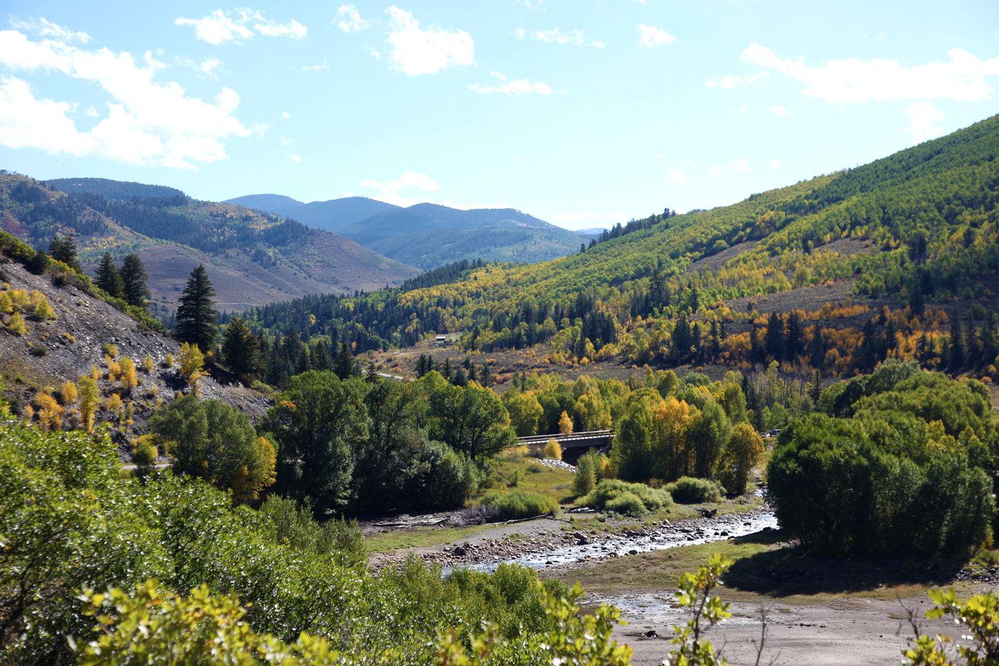 Pet-Friendly Cabin Getaway for Groups near Aspen, Colorado