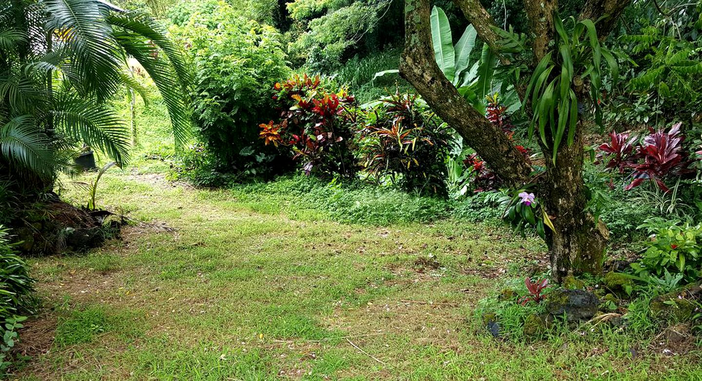 Sweet Cottage, Magical Grottos and Stunning Coastline in Kehena, Hawaii