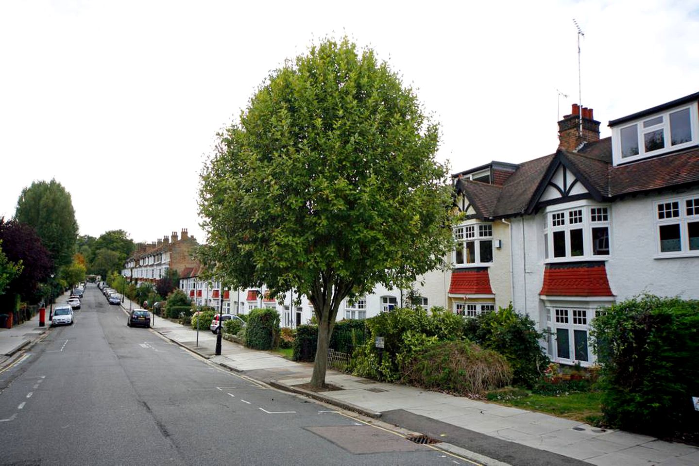 Peaceful Woodland Yurt Rental Close to the Underground and Central London, England