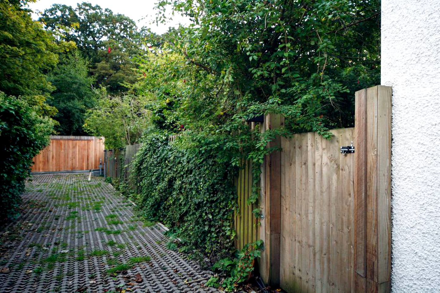 Peaceful Woodland Yurt Rental Close to the Underground and Central London, England