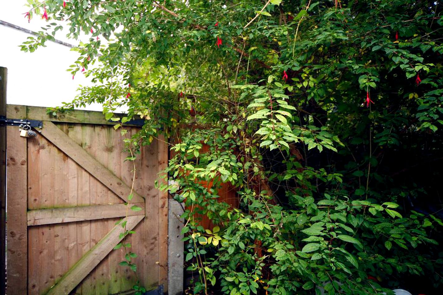 Peaceful Woodland Yurt Rental Close to the Underground and Central London, England