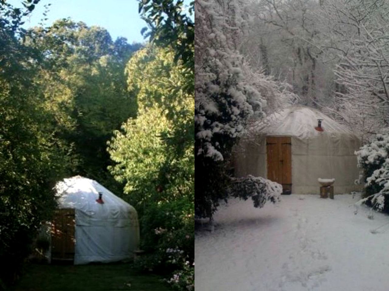 Peaceful Woodland Yurt Rental Close to the Underground and Central London, England