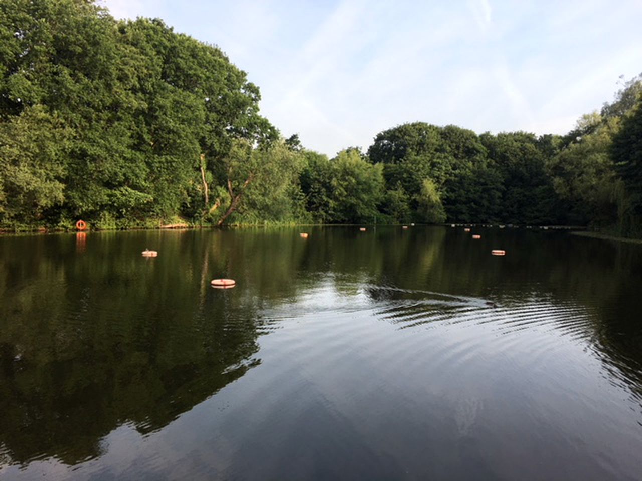 Peaceful Woodland Yurt Rental Close to the Underground and Central London, England