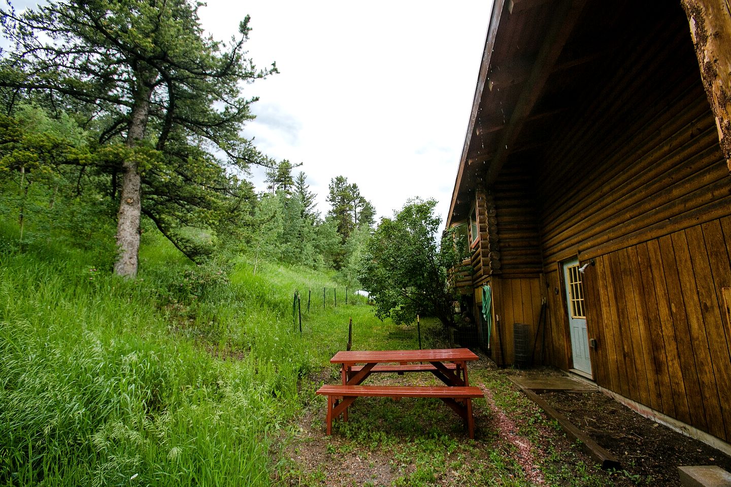 Idyllic Getaway Cabin for Families with Home Theater, Ping Pong, and Video Games in Nederland, Colorado
