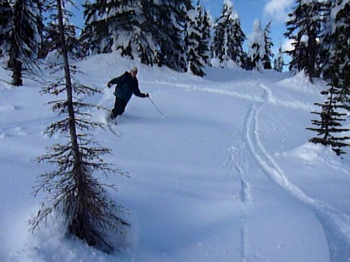 Nature Lodges (Nelson, British Columbia, Canada)