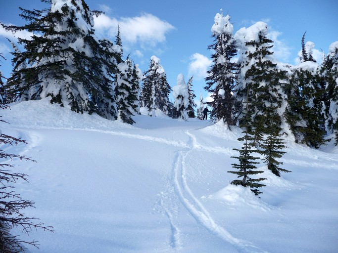 Nature Lodges (Nelson, British Columbia, Canada)