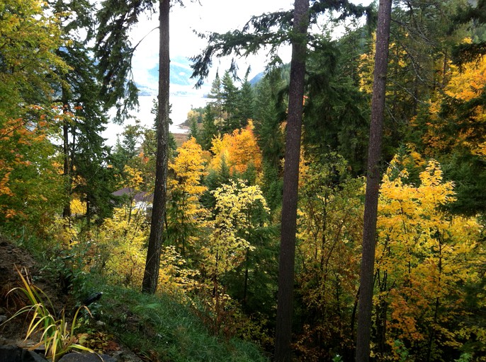 Nature Lodges (Nelson, British Columbia, Canada)