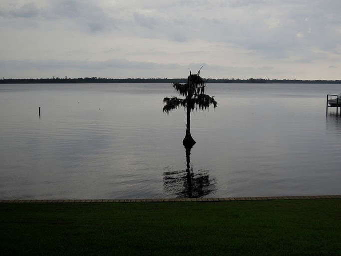 Barns (New Bern, North Carolina, United States)