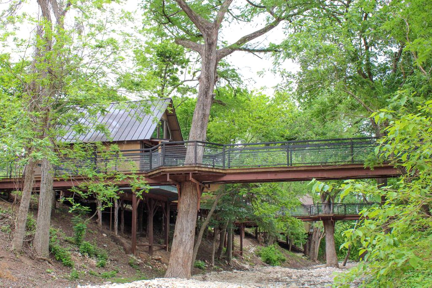 New Braunfels Pet-Friendly Rental near Guadalupe River for Adventure-Filled Vacations in Texas