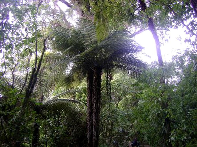 Cabins (New Haven, South Island, New Zealand)