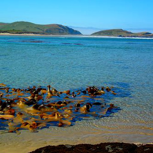 Caravans (New Haven, South Island, New Zealand)