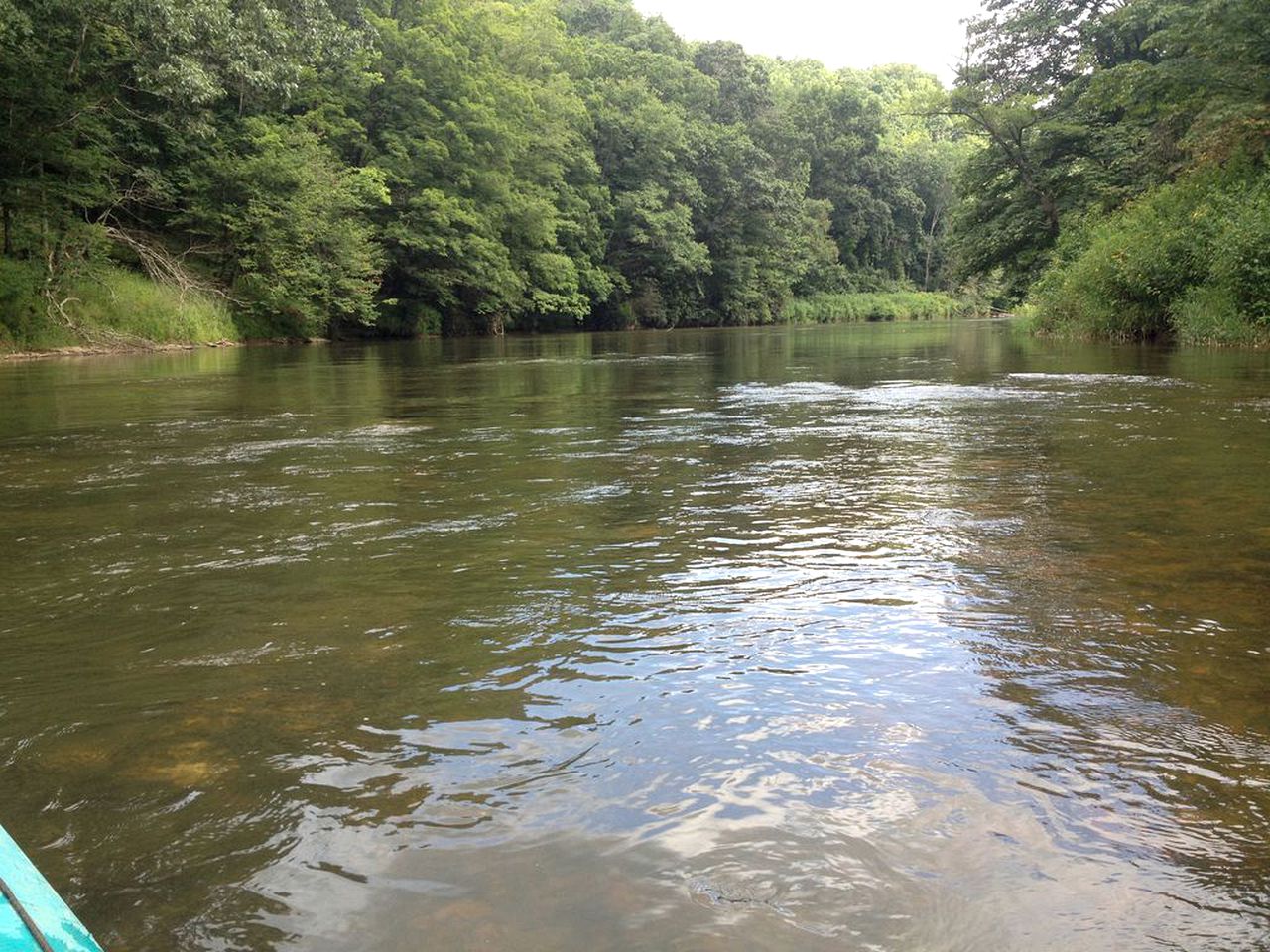 Rustic Cabin Nestled Deep in Woods near West Jefferson, North Carolina