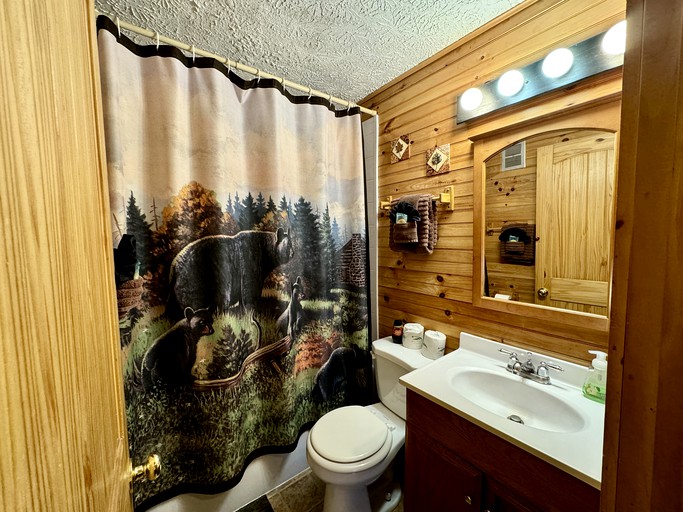 Cabins (United States of America, Sevierville, Tennessee)