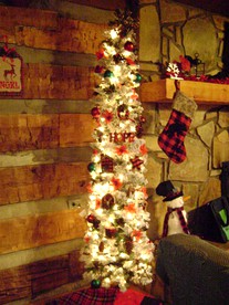 undefined photo 3