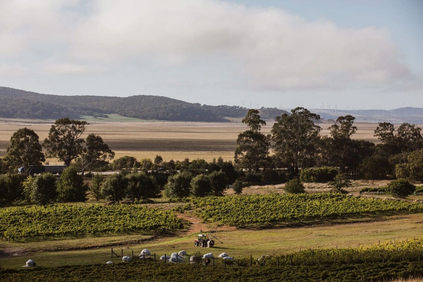 Gorgeous New South Wales Glamping Retreat on Lake George