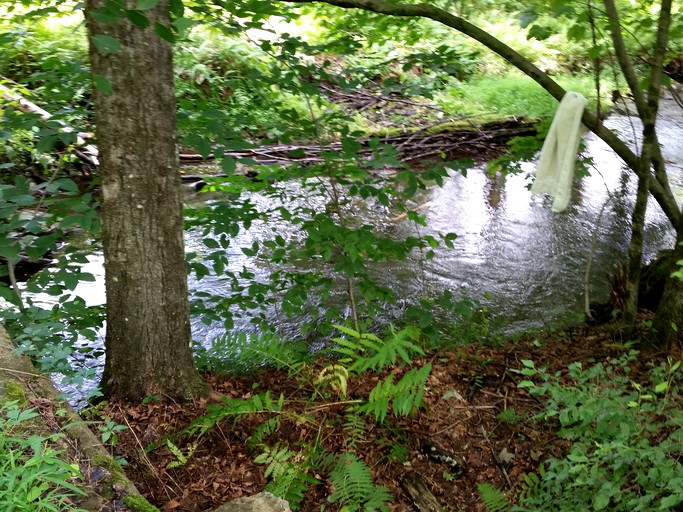 Tentrr Signature Site Sundown, Tented Cabins, Kerhonkson, United