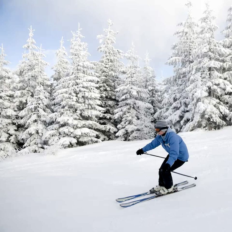 Scenic Ski-In/Ski-Out Mountain Retreat Near Wintergreen Resort, Wintergreen VA