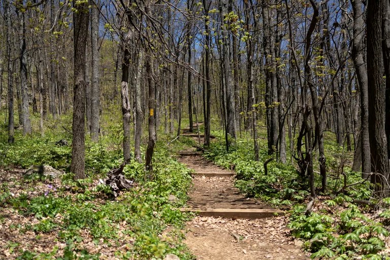 Vacation Rentals (United States of America, Wintergreen Resort, Virginia)