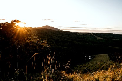 Comfortable and Secluded Tiny House on an Avocado Farm in Newee Creek, New South Wales - Ideal for an Intimate Glamping Vacation photo 4