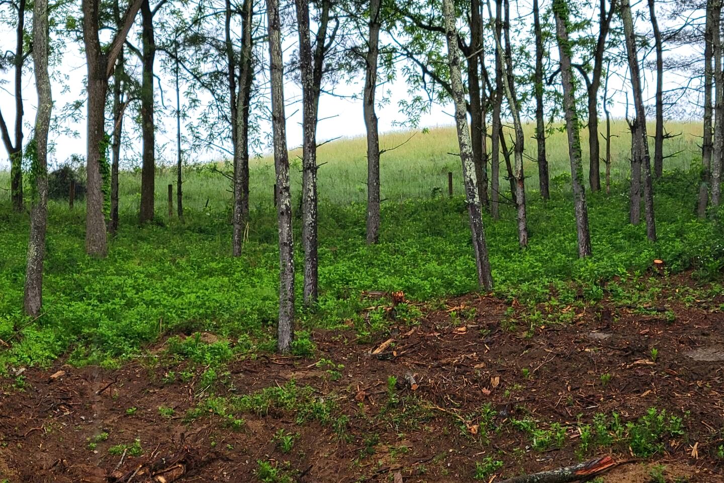 Newly Built Modern Cottage with New England Charm, near the Draper Mountain Trail System