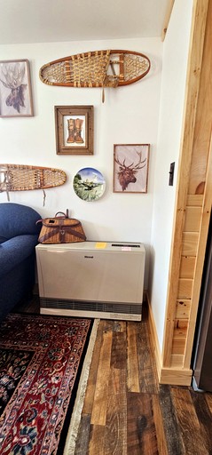 Cabins (United States of America, Greenville, Maine)