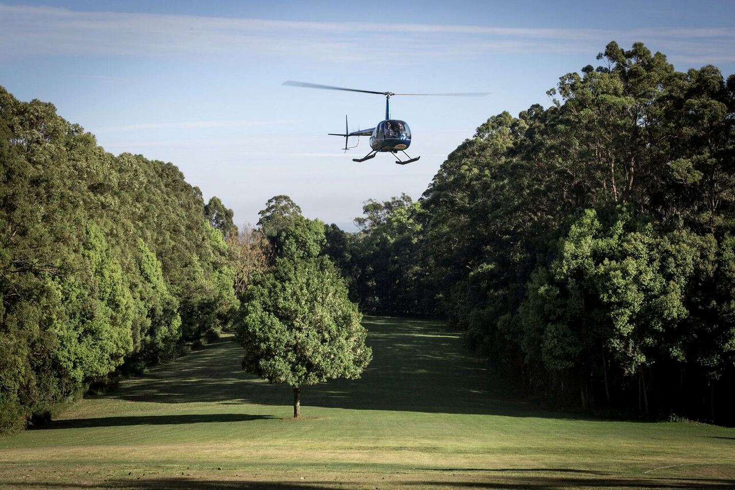 Luxury Family Lodge Getaway with a Pool near Byron Bay, New South Wales