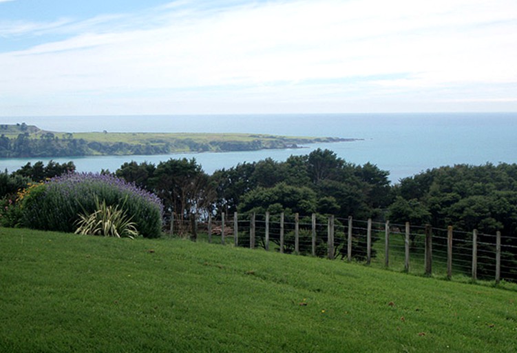 Cottages (Gisborne, North Island, New Zealand)