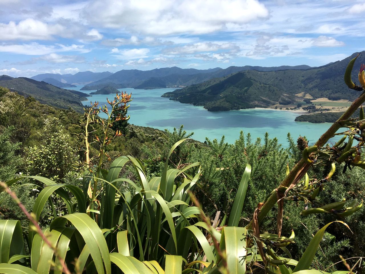 Secluded Vacation Rental with Private Hot Tub in Marlborough, South Island