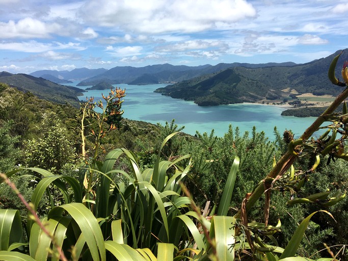 Cabins (Marlborough, South Island, New Zealand)