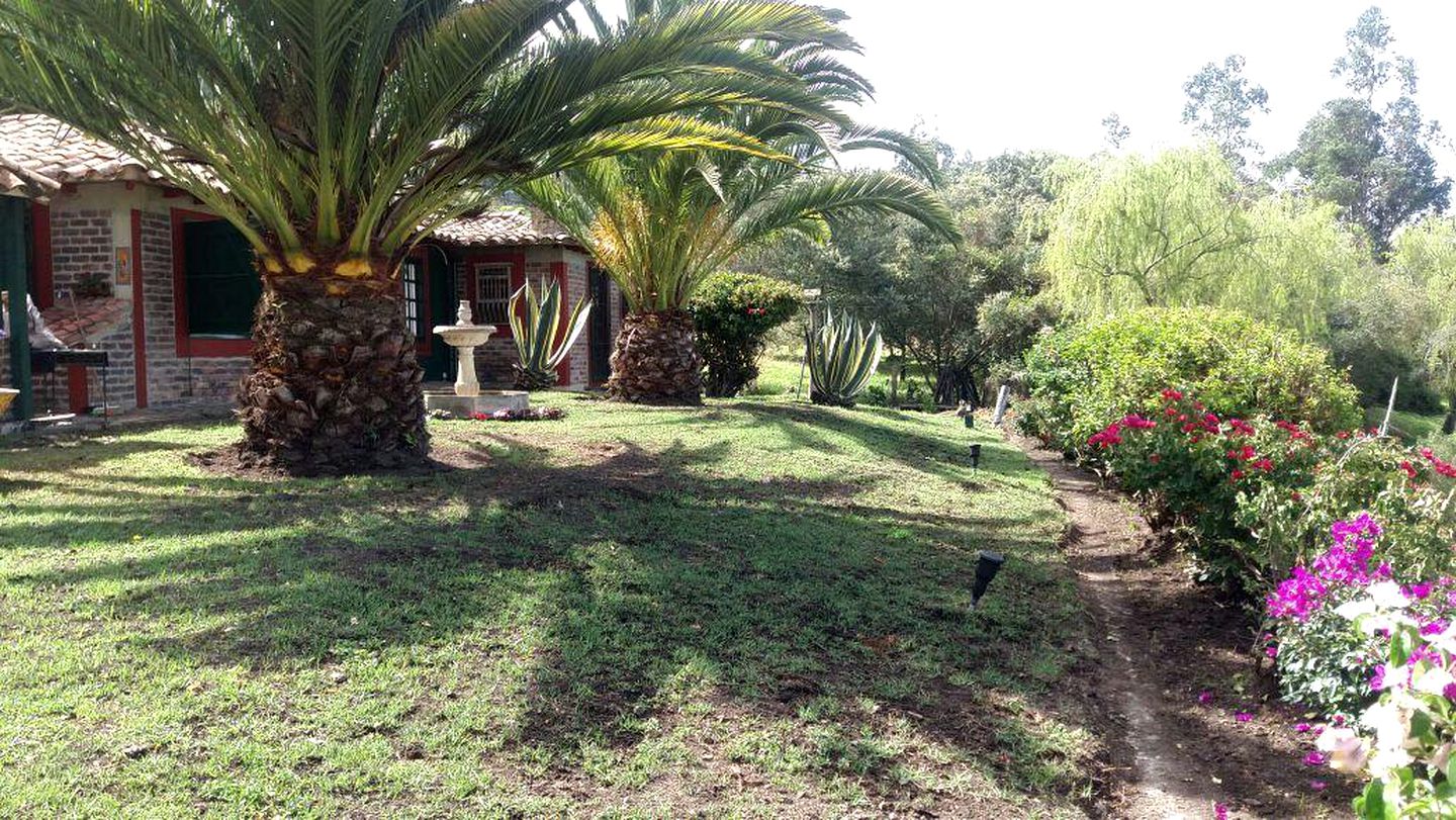 Peaceful Vacation Rental Nestled in the Andes of Colombia