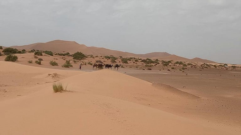 Safari Tents (Merzouga, Drâa-Tafilalet Region, Morocco)