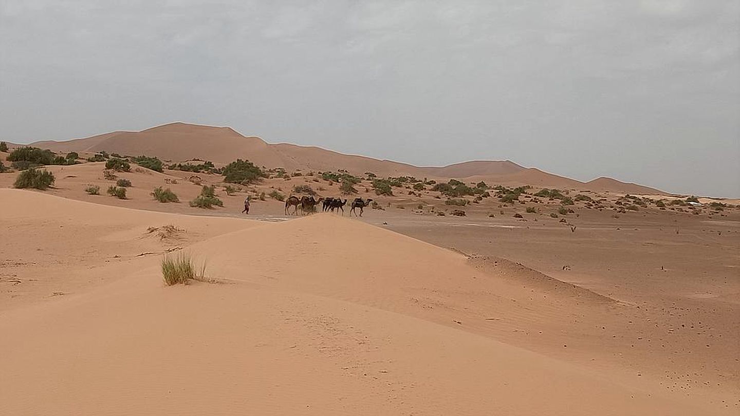 Unique Glamping Tent with On-Site Restaurant in Merzouga, Morocco