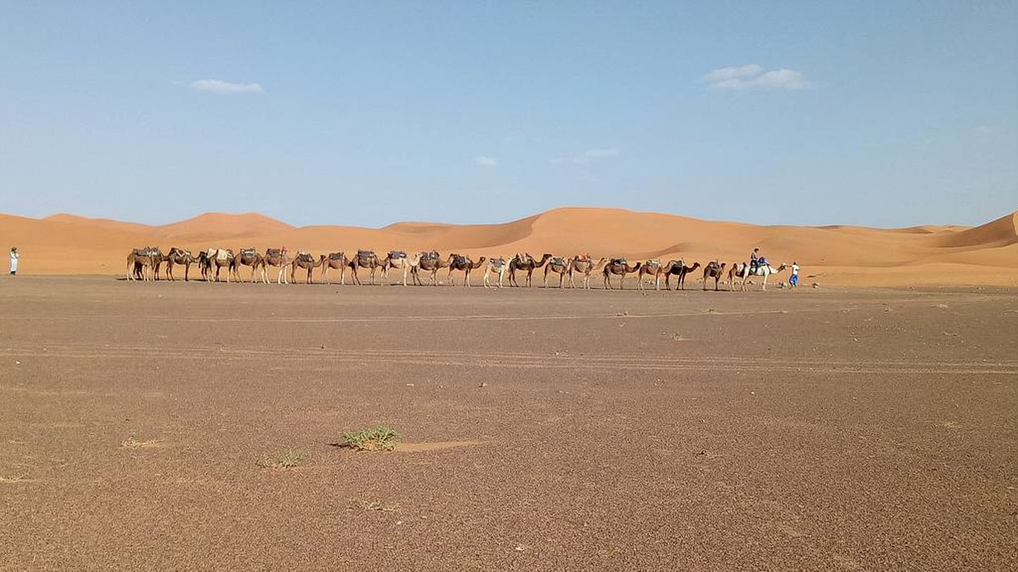 Unique Glamping Tent with On-Site Restaurant in Merzouga, Morocco