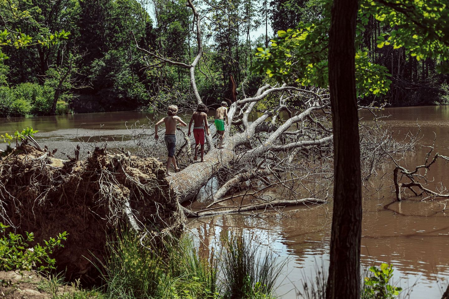 Secluded Luxury Glamping in a Tranquil Meadow Escape in England, United Kingdom