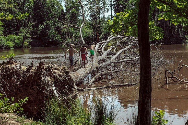 Vacation Rentals (United Kingdom, Haslemere, England)