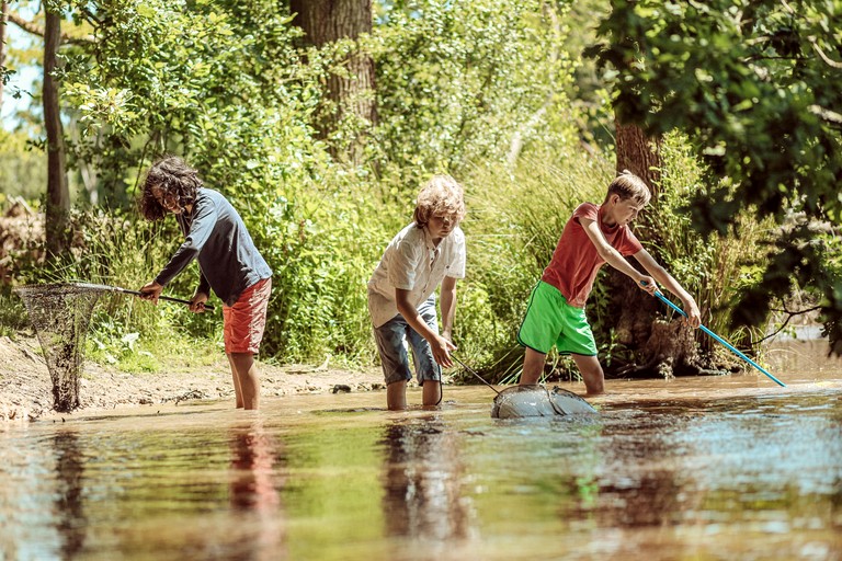 Vacation Rentals (United Kingdom, Haslemere, England)