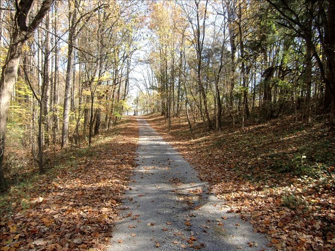 Cottages (Rileyville, Virginia, United States)