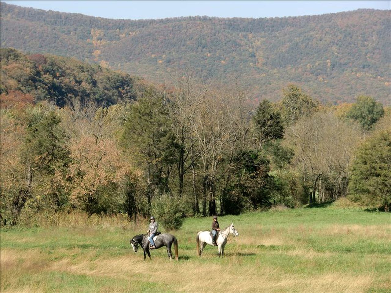 Inviting Cottage Rental on a Private Farm in Rileyville, Virginia