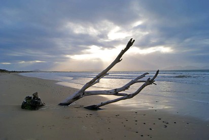 Stunning Getaway with Beach Access in Dolphin Sands, Tasmania photo 3